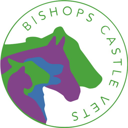 Bishops Castle Vets logo