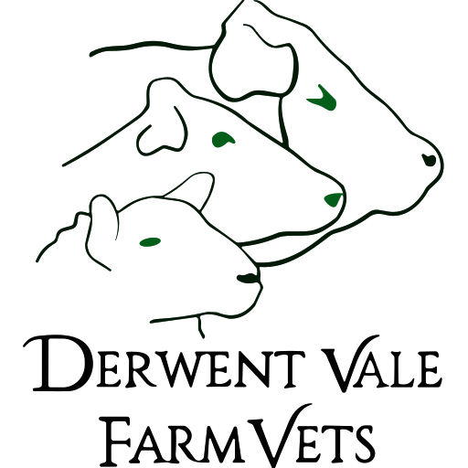 Derwent Vale Farm Vets logo