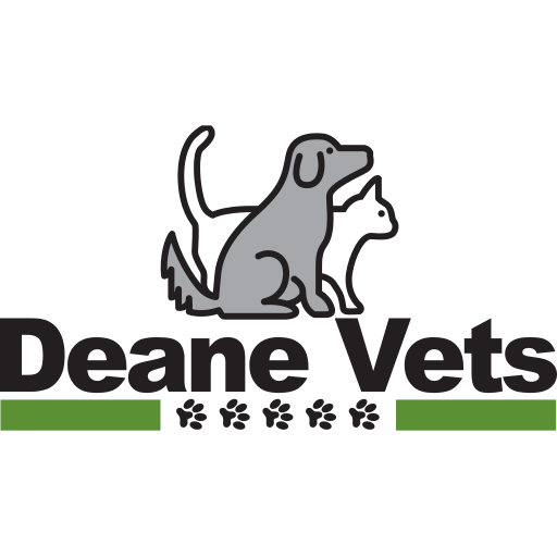 Deane Vets logo