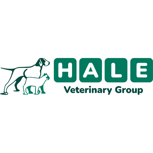 Hale Veterinary Hospital - Chippenham logo
