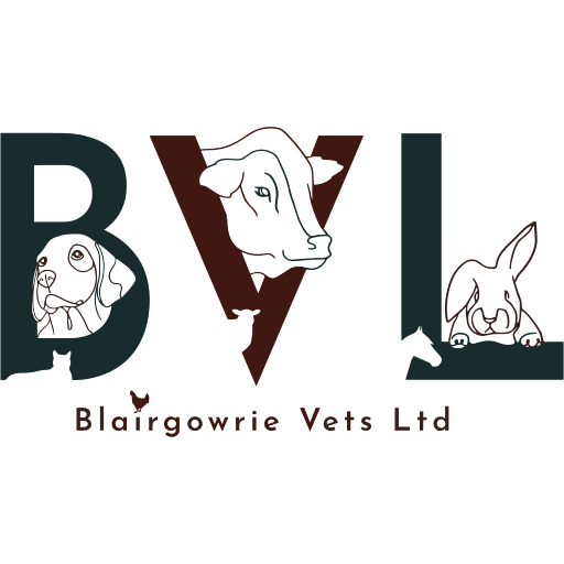 Blairgowrie Vets Limited logo