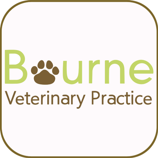 Bourne Veterinary Practice, Bekesbourne logo