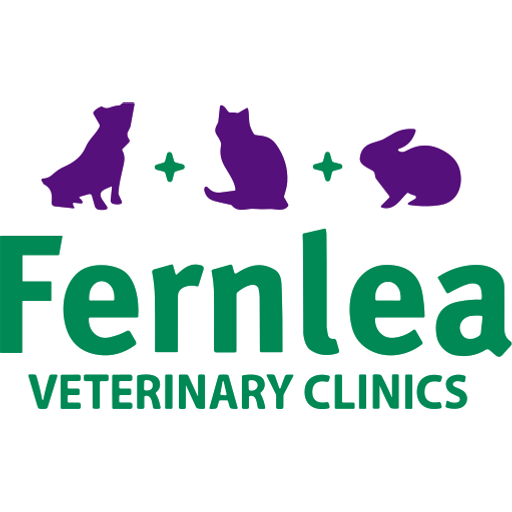 Fernlea Veterinary Clinic - Hanham logo