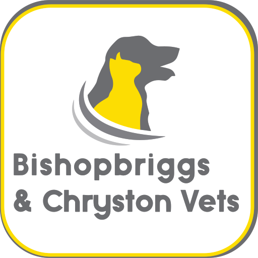 Bishopbriggs Vet Centre - Bishopbriggs logo