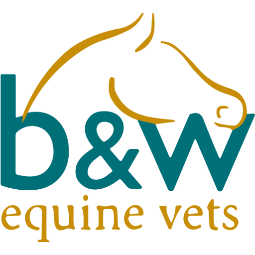 B&W Equine Vets - Failand logo
