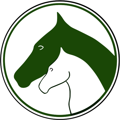 Paterson Equine Clinic Ltd logo