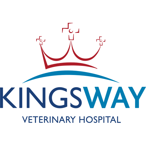 Kingsway Vets - Crosshills logo