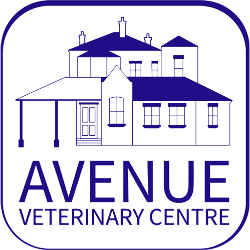 Avenue Veterinary Centre - Bottesford logo