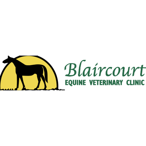 Blaircourt Equine - Brook Farm logo