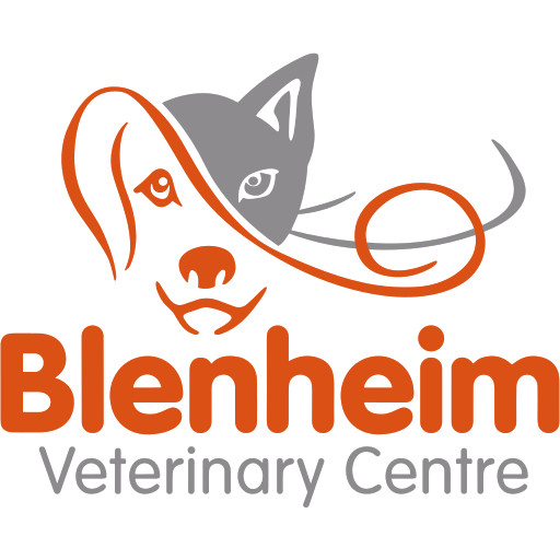 Blenheim Veterinary Centre logo