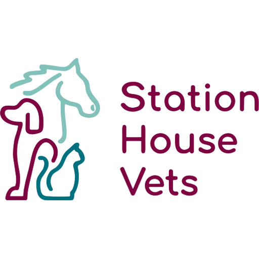 Station House Vets logo
