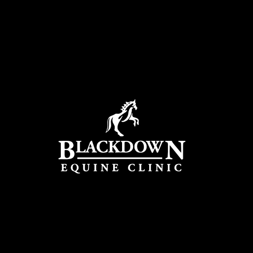 Blackdown Equine Clinic logo