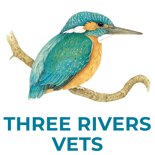 Three Rivers Vet Group - Norwich logo