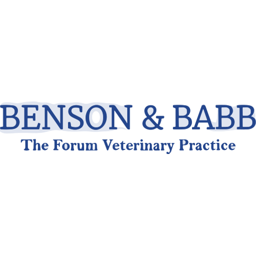 Benson and Babb logo