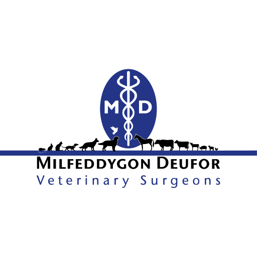 Milfeddygon Deufor Veterinary Surgery logo