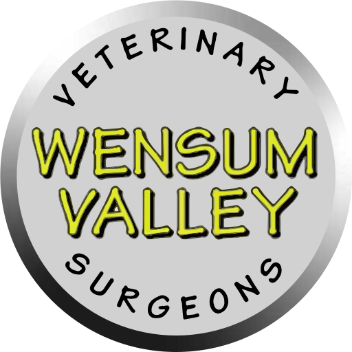 Wensum Valley Vets logo