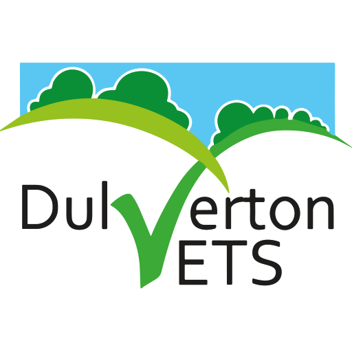 Dulverton Veterinary Practice logo