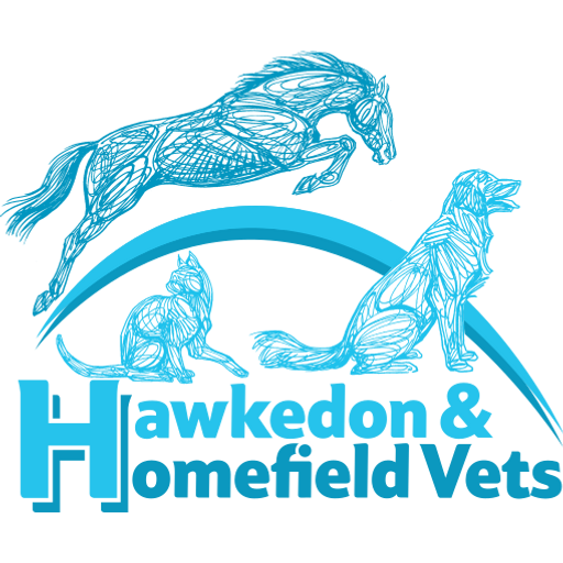 Hawkedon Vets - Hawkedon logo