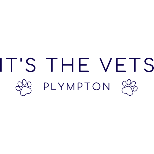 It’s The Vets logo