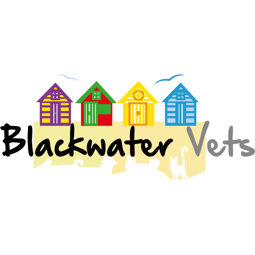 Blackwater Vets logo