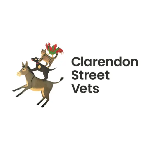 Clarendon Street Veterinary Surgery - Stapleford logo