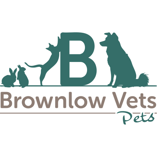 Brownlow Vet Group - Ellesmere logo