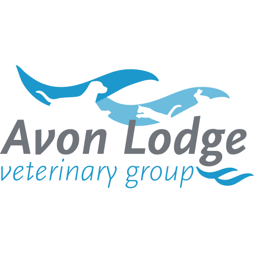 Avon Lodge Vets - Amesbury logo