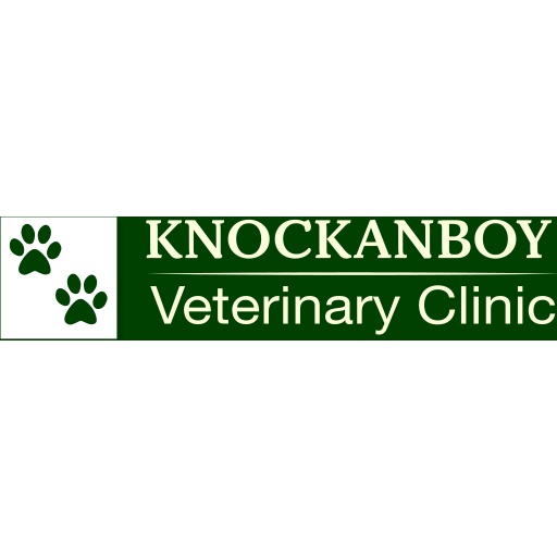 Knockanboy Vets - Coleraine logo