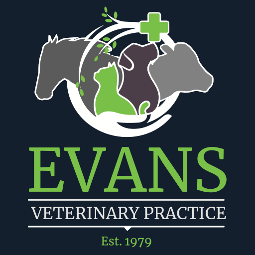 Evans Veterinary Practice logo