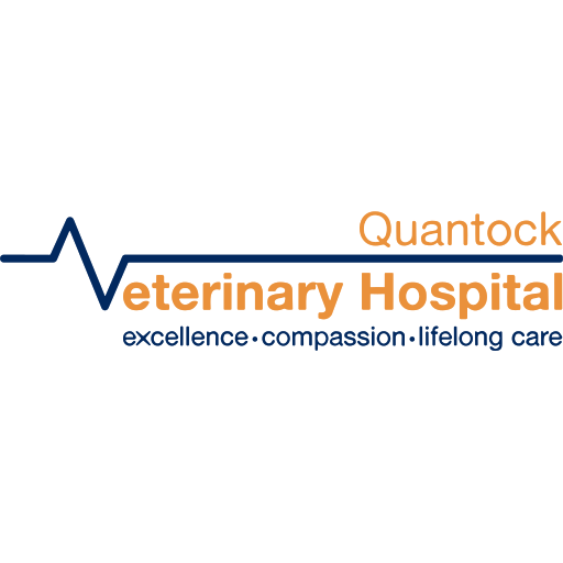 Quantock Vets - Quantock Veterinary logo