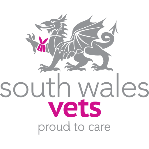 South Wales Vets - Newport logo