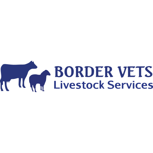 Border Vets logo