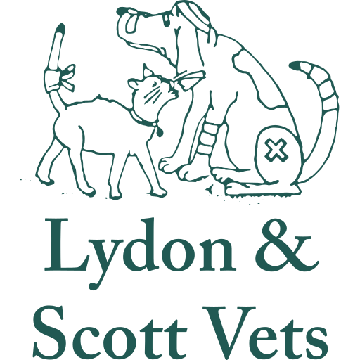 Lydon and Scott Vets - Lydon Vets logo