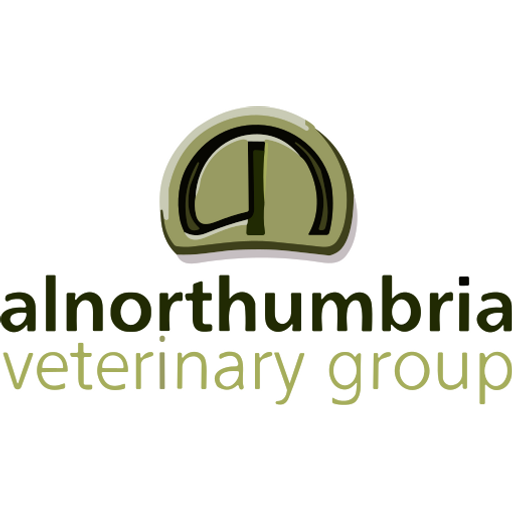 Alnorthumbria Vets - Morpeth Equine logo
