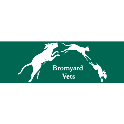 Bromyard Vets logo