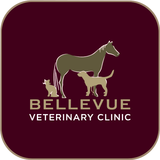 Bellevue Veterinary Clinic logo