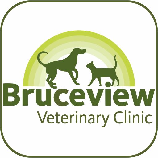 Bruceview Vet Clinic logo