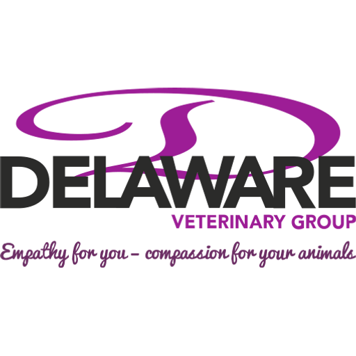 Delaware Vets - Castle Cary logo