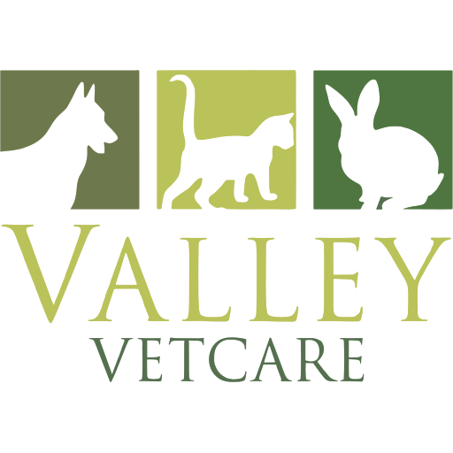 Valley Vetcare logo