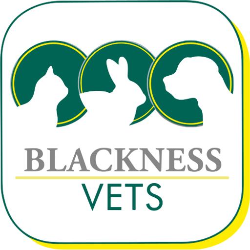 Blackness Veterinary Surgery logo