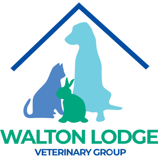 Walton Lodge Vets - Hoddesdon logo