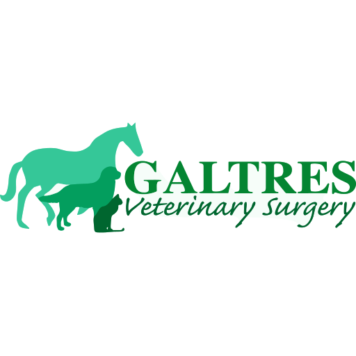 Galtres Veterinary Surgery logo