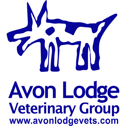 Avon Lodge Vets - Wells Road logo