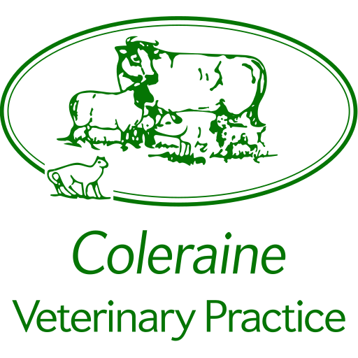 Coleraine Vets logo