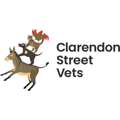 Clarendon Street Veterinary Surgery - Cambridge logo