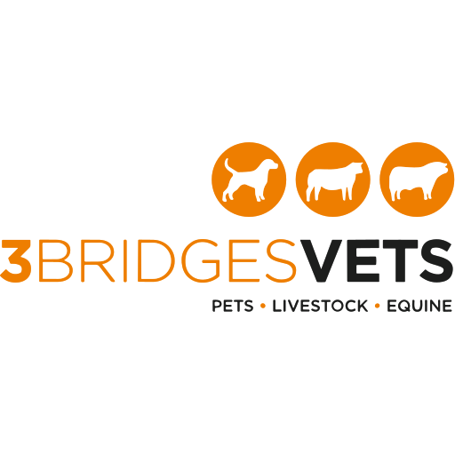 3 Bridges Vets logo