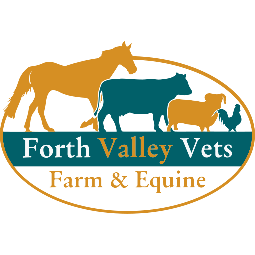 Forth Valley Vets logo