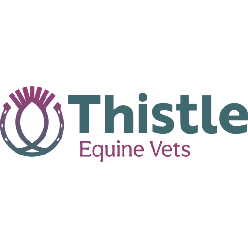 Thistle Equine vets - Brown Egg logo